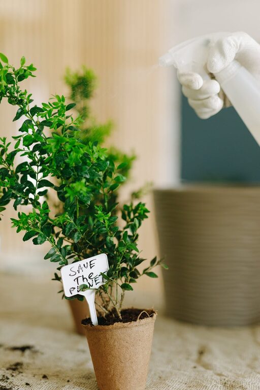 How to Start a Small Herb Garden Indoors: A Complete Beginner’s Guide